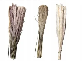 3x-trawa-pampasowa-suszona-dekoracja-40cm-do-wazonu-w-stylu-boho