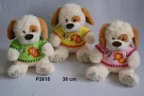 pies-30cm-mix-stan-nowy