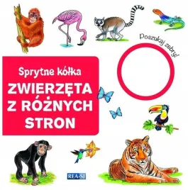 sprytne-kolka-zwierzeta-z-roznych-stron-praca