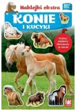 konie-i-kucyki