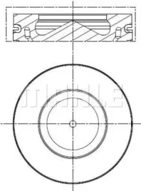 tlok-081-pi-00113-000