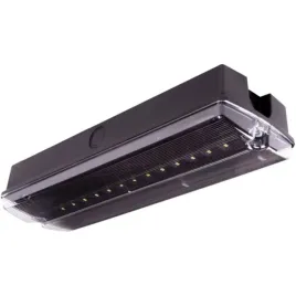 oprawa-ewakuacyjna-awaryjna-orion-ii-250-m-3h-mt-lt-ip65-blk-or7-or8