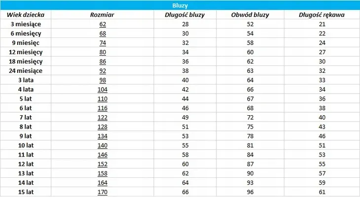 bluza-szogun-chabrowa-rozmiar-86-stan-nowy