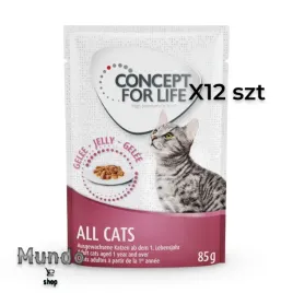 mokra-karma-dla-kota-concept-for-life-all-cats-w-galaretka-85-g-12-szt
