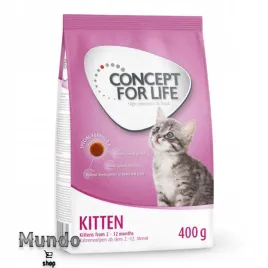 sucha-karma-dla-kota-concept-for-life-smak-kurczak-400-g