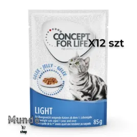 mokra-karma-dla-koty-concept-for-life-beauty-w-galaretka-85-g-12-szt