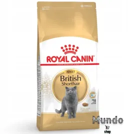 sucha-karma-royal-canin-british-shorthair-dla-kotow-doroslych-10-kg