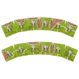 carcassonne-straznice-die-wachturme