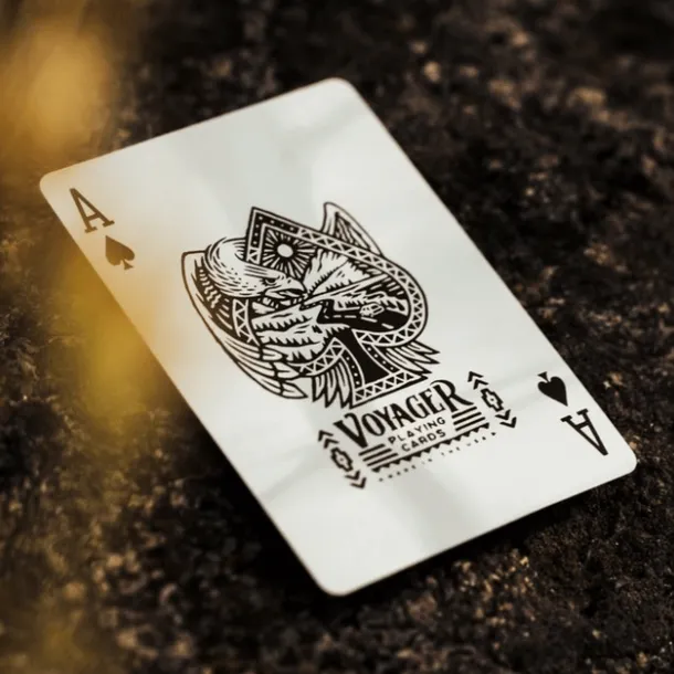 karty-do-gry-theory11-voyager-stan-nowy