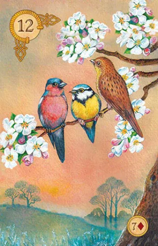 karty-tarot-celtic-lenormand-stan-nowy