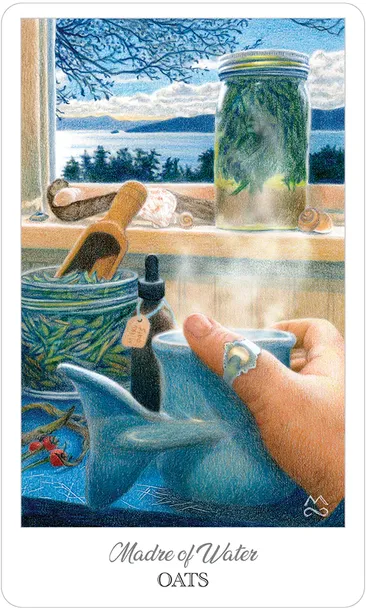 karty-tarot-the-herbcrafters-tarot-stan-nowy