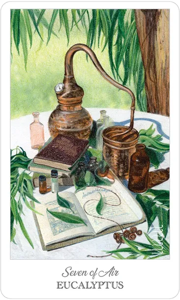 karty-tarot-the-herbcrafters-tarot-stan-nowy