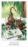 karty-tarot-the-herbcrafters-tarot-stan-nowy