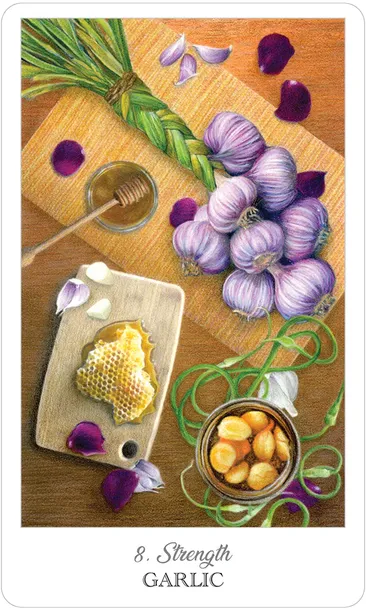 karty-tarot-the-herbcrafters-tarot-stan-nowy