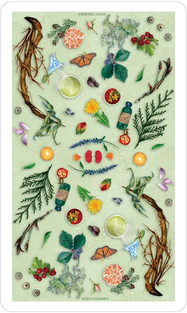 karty-tarot-the-herbcrafters-tarot-stan-nowy