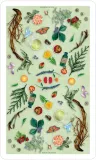 karty-tarot-the-herbcrafters-tarot-stan-nowy