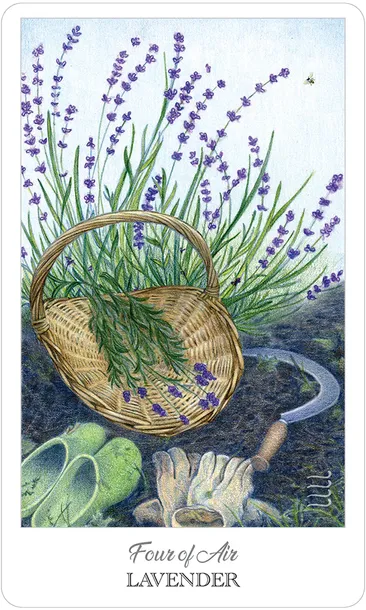 karty-tarot-the-herbcrafters-tarot-stan-nowy