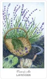 karty-tarot-the-herbcrafters-tarot-stan-nowy