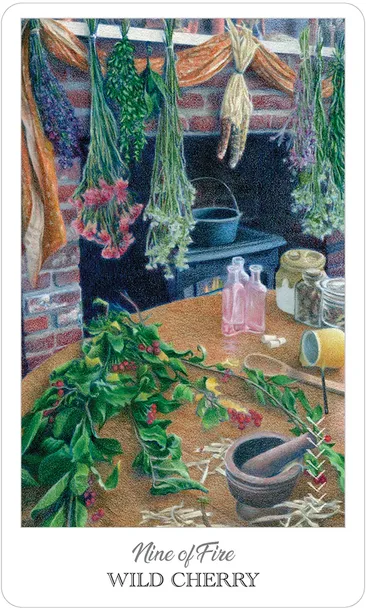 karty-tarot-the-herbcrafters-tarot-stan-nowy