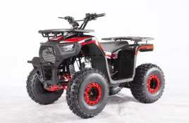 nd28-16712-psp-atv009-8-cr-pojazd-quad-spalinowy