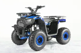 nd28-16714-psp-atv009-8-nie-pojazd-quad-spalinowy