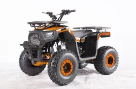 nd28-16716-psp-atv009-8-pom-pojazd-quad-spalinowy