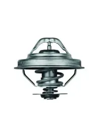 termostat-bmw-16-87-