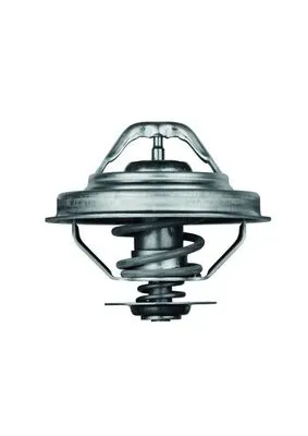 termostat-bmw-16-87-