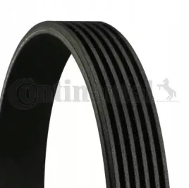 procodis-france-6pk1095-pasek-klinowy-wielorowkowy