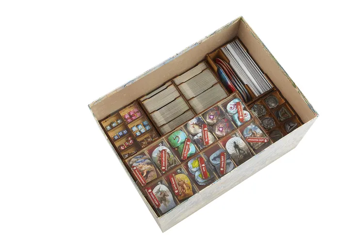 e-raptor-insert-do-gry-frosthaven-stan-nowy