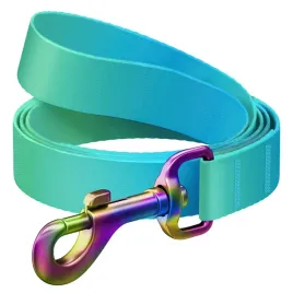 waudog-smycz-nylonowa-niebieska-gradient-m-20mm-122cm