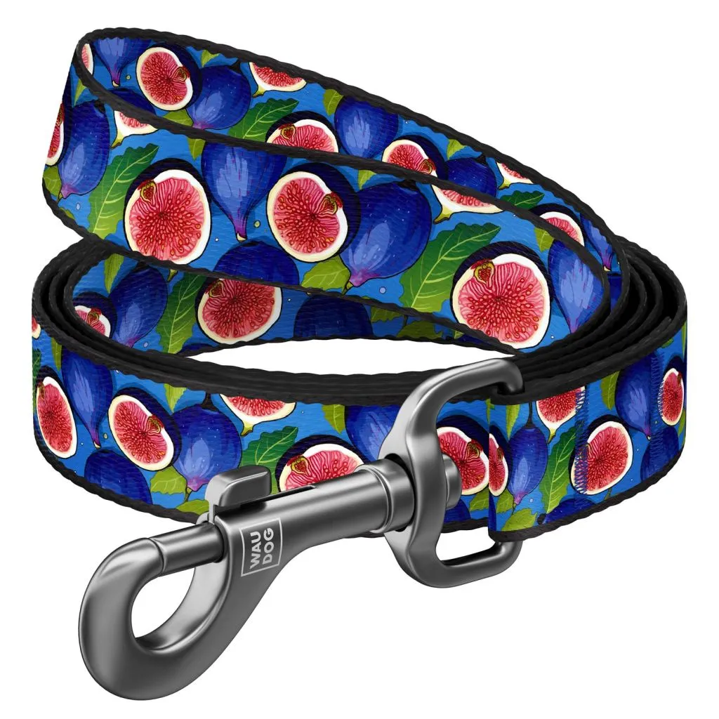 waudog-smycz-nylon-figa-m-20mm-122cm