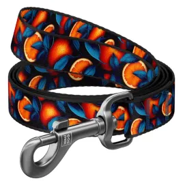 waudog-smycz-nylon-pomarancze-l-xxl-25mm-122cm