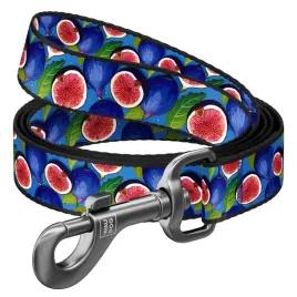 waudog-smycz-nylon-figa-l-xxl-25mm-200cm
