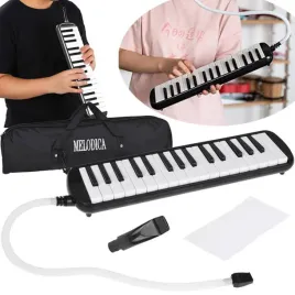 muzyczny-instrument-harmonijka-klawiszowa-etui