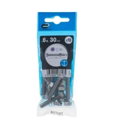 sruba-6x30mm-metryczny-skok-gwintu-10-szt-leb-6-katny