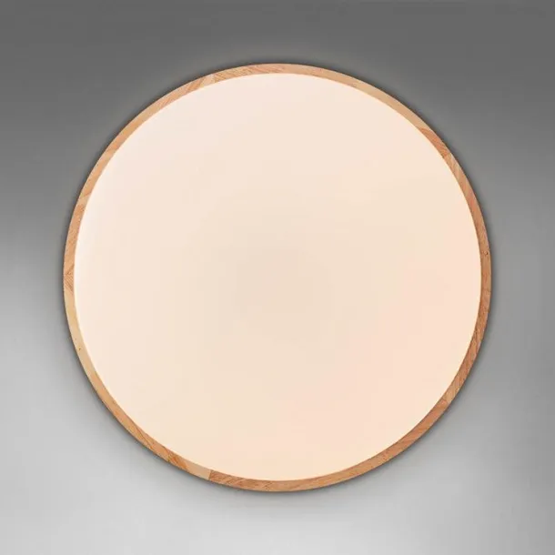 plafon-brilliant-bialy-olcha-pilot-wymiary-o-49-x-h-9-cm-zasilanie-sieciowe