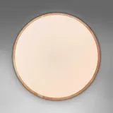 plafon-brilliant-bialy-olcha-pilot-wymiary-o-49-x-h-9-cm-zasilanie-sieciowe