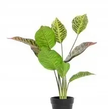 sztuczna-zielona-roslina-wysokosc-49-cm