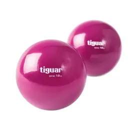tiguar-pilka-heavyball-10-kg-sliwka
