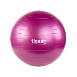 tiguar-pilka-body-ball-safety-plus-65-cm-sliwka