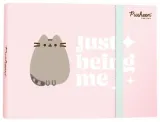 notatnik-na-spirali-64k-pusheen