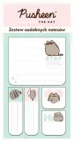 zestaw-5-notesow-ozdobnych-pusheen