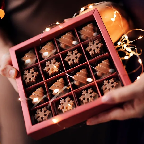 forma-do-pralin-silikonowa-szerokosc-14-cm