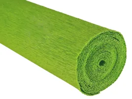 krepina-bibula-marszczona-wloska-zielony-90g-krepa-nr-396-verde-mela