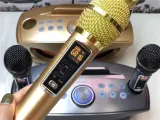 karaoke-sd306-plus-30w-bezprzewodowe-kolor-czarny-zloty