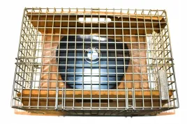 poduszka-powietrzna-kierowcy-airbag-bmw-f07-f10-f11-f07n-f10n-f11n-6783829
