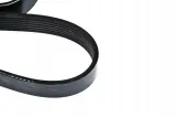 pasek-micro-bmw-e39-e38-e31-m62-prod-do-09-1998r-producent-czesci-meyle