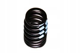 sprezyna-zaworu-bmw-e46-e60n-e81-e83-x3-e84-x1-e87