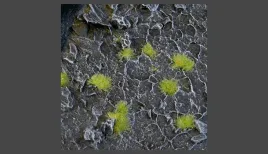 gamer-s-grass-tiny-light-green-2mm